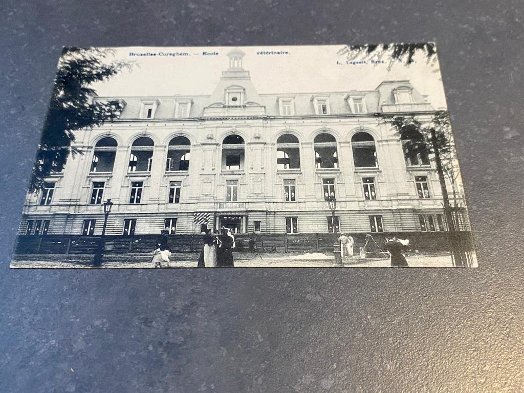 Anderlecht Cureghem Ecole vétérinaire 1908 en construction, Enlèvement ou Envoi, Avant 1920, Affranchie, Bruxelles (Capitale)