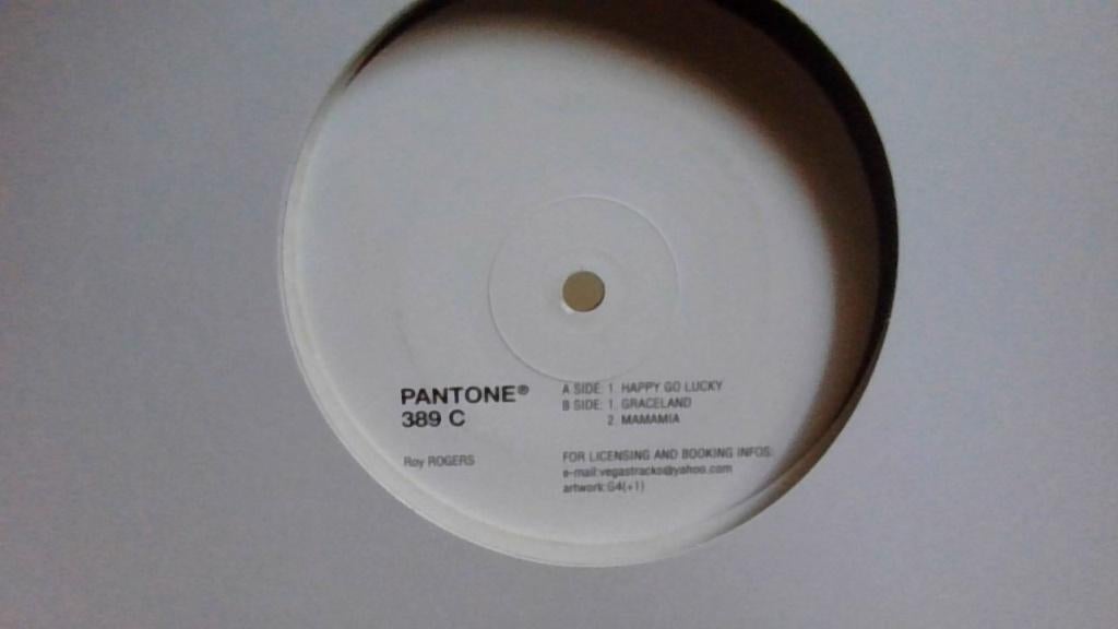 ROY ROGERS " PANTONE 389 C ", Ophalen of Verzenden, Zo goed als nieuw, 12 inch, Dance Populair