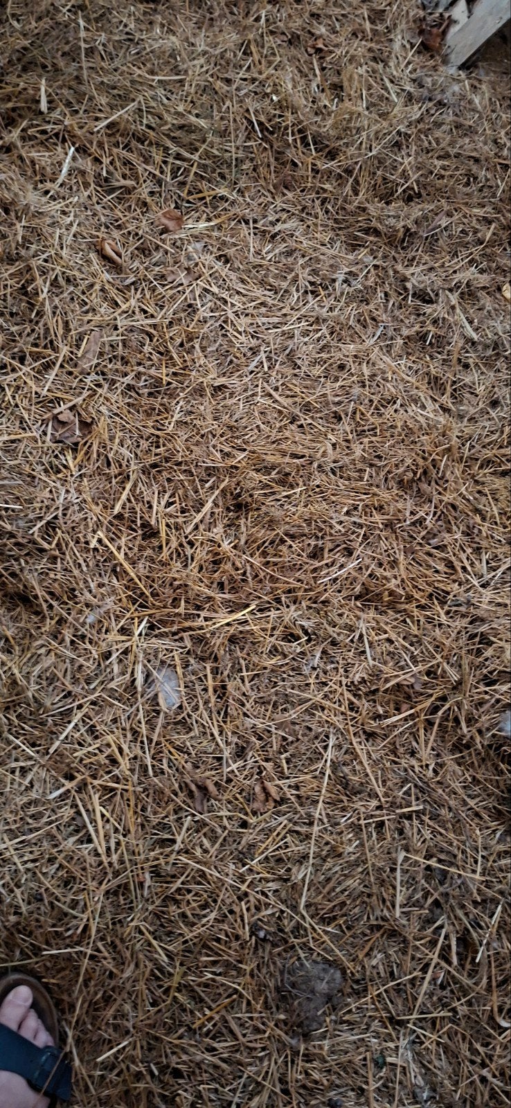foin vieux de quelques années, Enlèvement