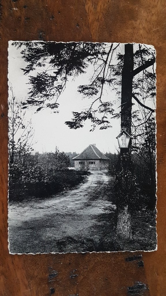 Postkaart Lichtaart Regina Pacis Kampeerterreinen, Verzamelen, Ophalen of Verzenden, 1960 tot 1980, Gelopen, Antwerpen