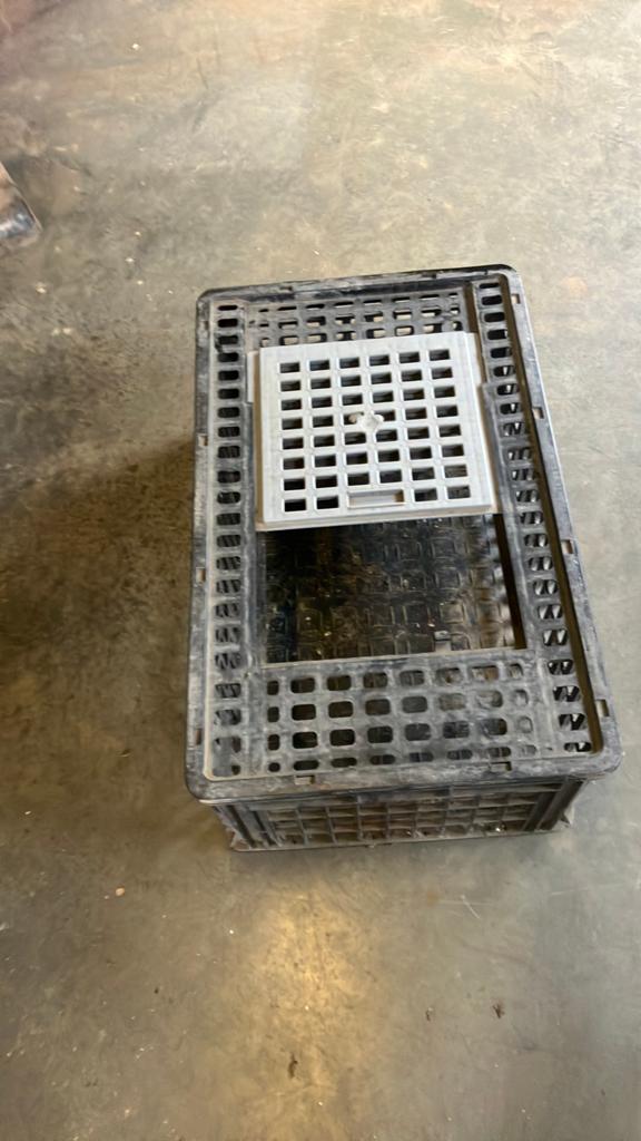 Kippenkooi, Dieren en Toebehoren, Knaagdieren en Konijnen | Hokken en Kooien, Minder dan 60 cm, Ophalen of Verzenden, Zo goed als nieuw