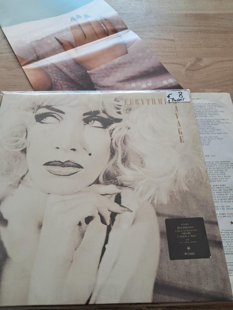 Lp Eurythmics, Gebruikt, 1980 - 1989, Ophalen of Verzenden, Fotohoes