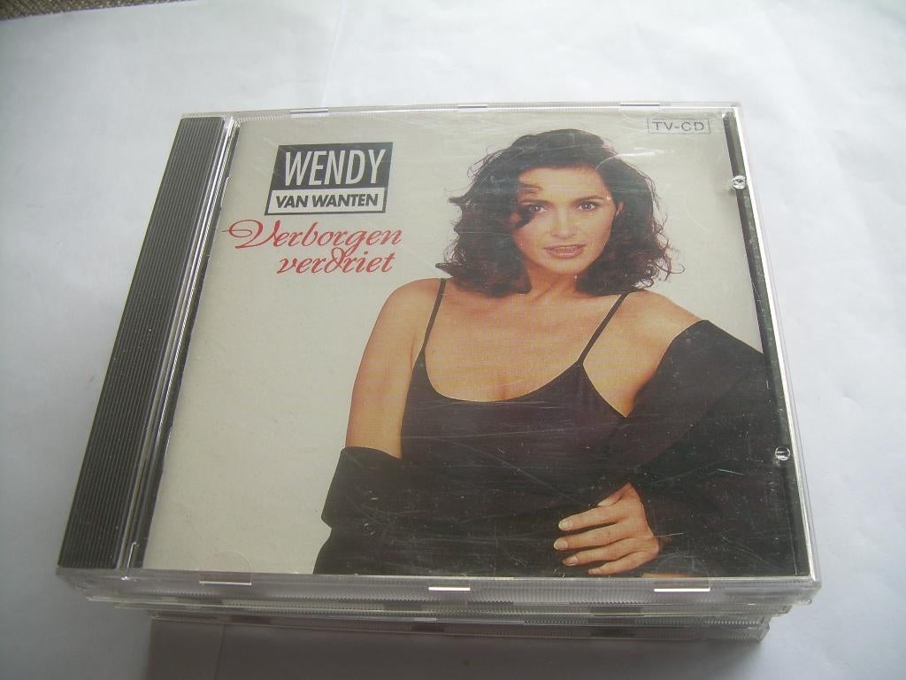 CD - WENDY VAN WANTEN - VERBORGEN VERDRIET, Ophalen of Verzenden, Zo goed als nieuw, Levenslied of Smartlap