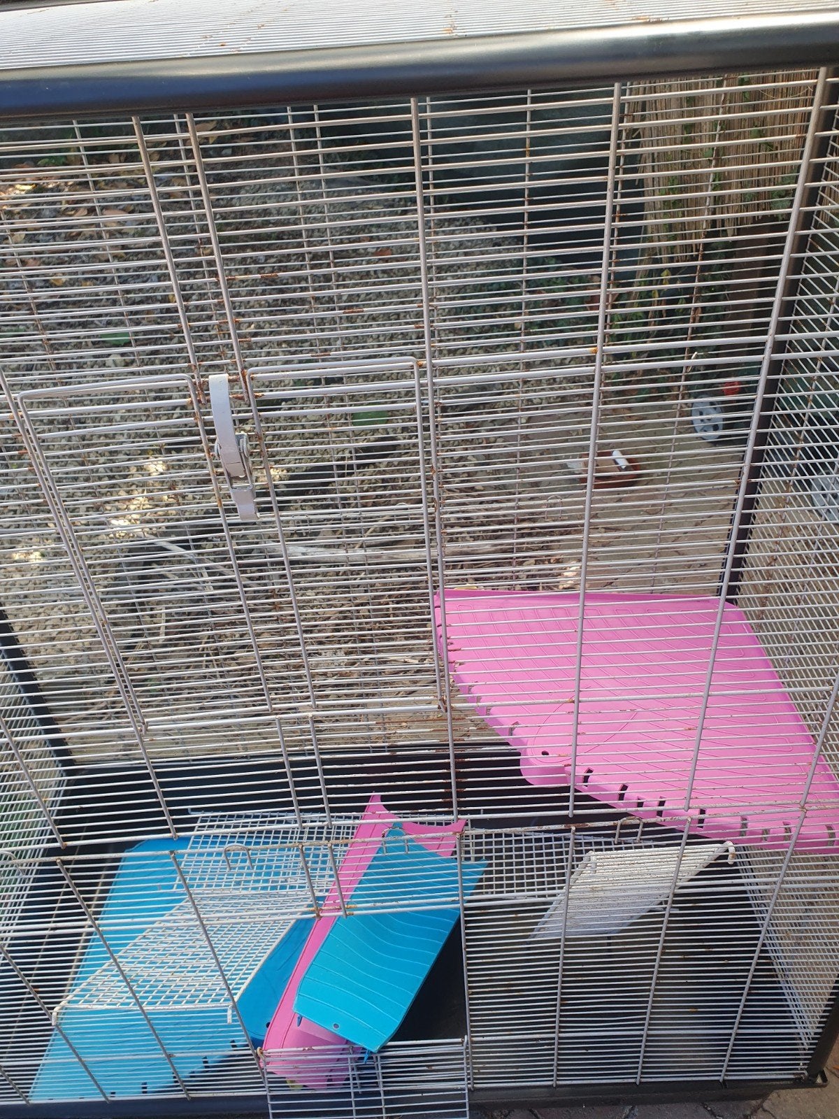 cage à petit rongeur et oiseau  à vendre, Animaux & Accessoires, Enlèvement ou Envoi, Cage