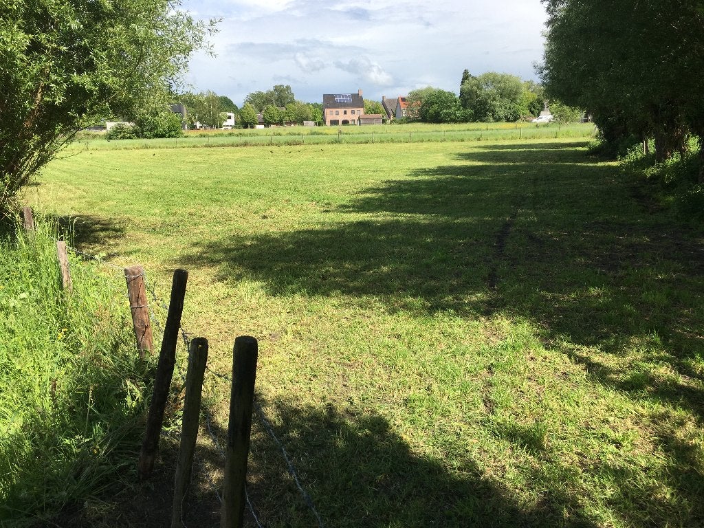 Zomerweide voor pony,paard,,… te gebruiken, Dieren en Toebehoren, Stalling en Weidegang, Weidegang, 1 paard of pony