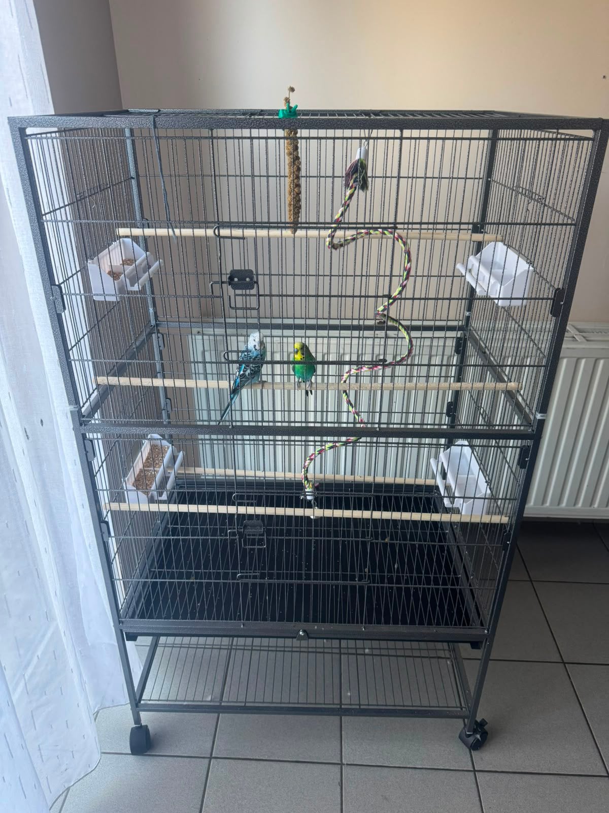 2 perruches + grande cage + nourriture, Enlèvement, Comme neuf