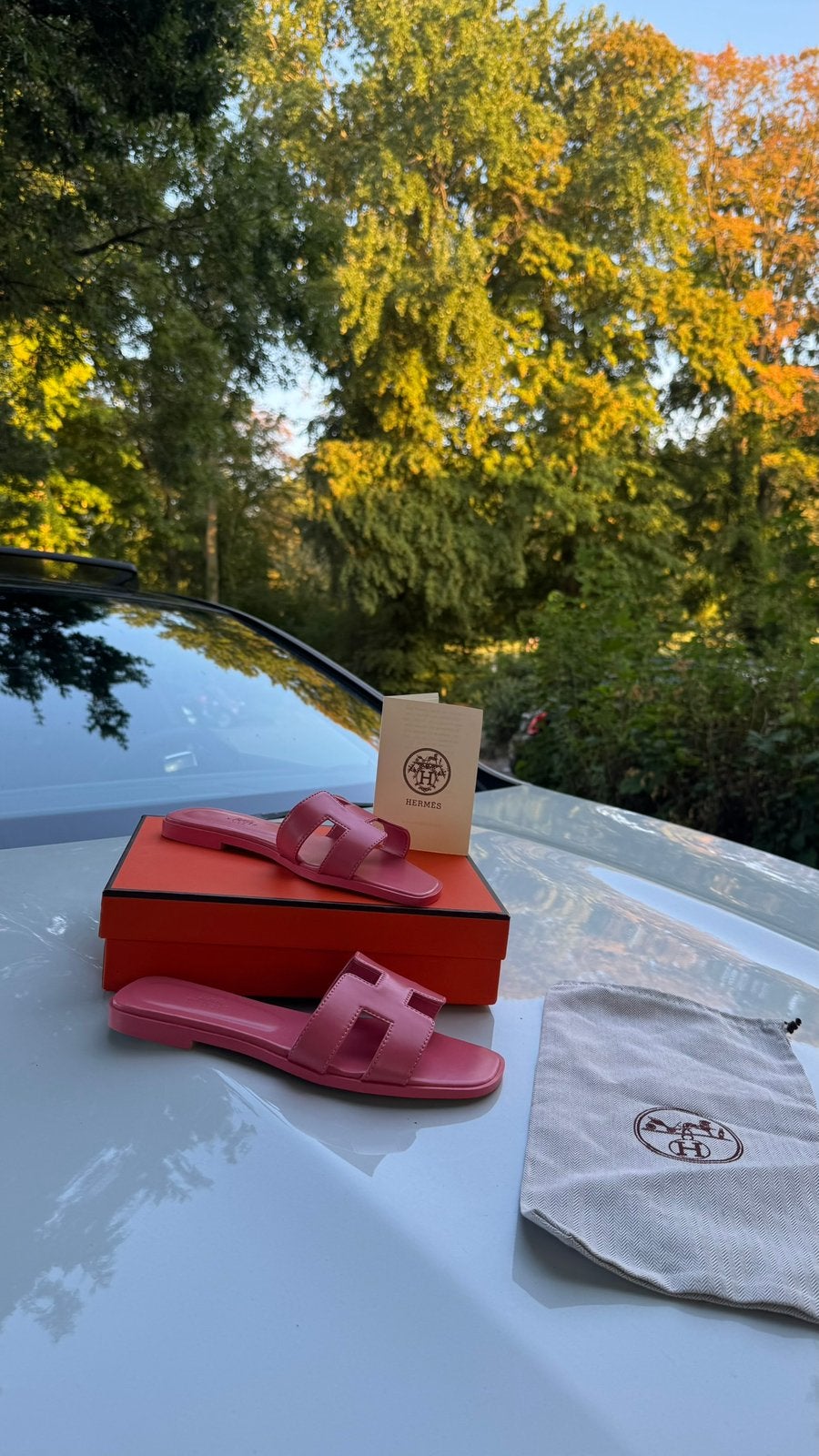 Chaussons Hermès roses, Neuf, Enlèvement ou Envoi, Rose, Sandales de bain