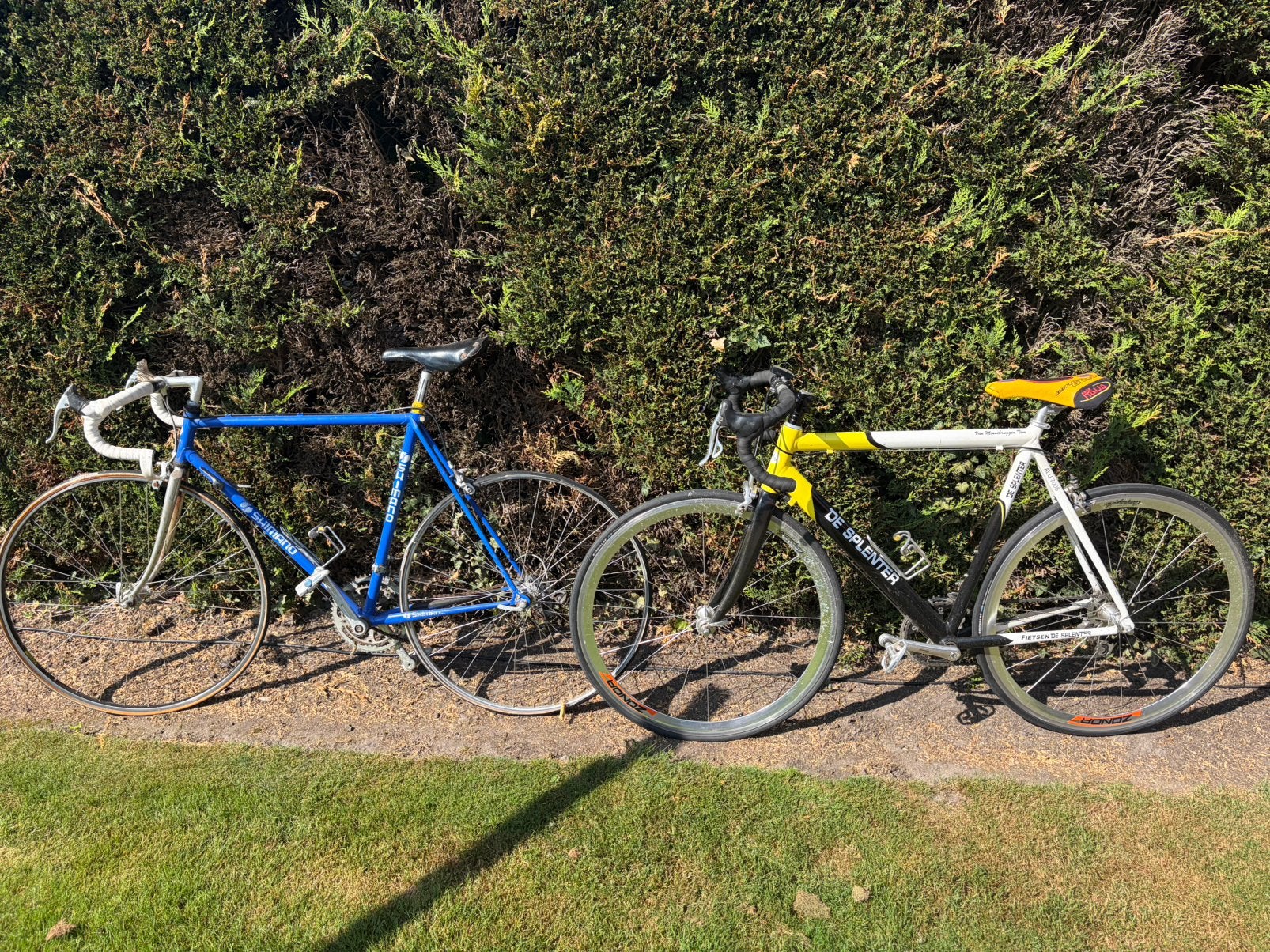 Lot van 2 retro koersfietsen, Fietsen en Brommers, Ophalen, Zo goed als nieuw