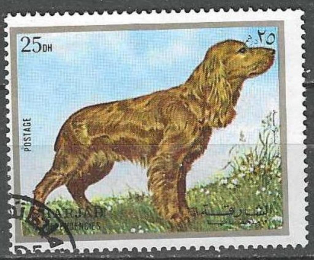 Sharjah 1972 - Stampworld 1375 - Races de chiens - 25 D (ST), Envoi, Affranchi