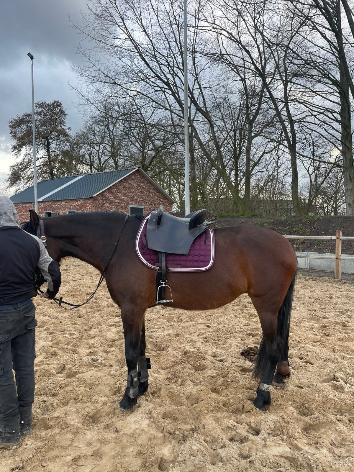 Barok Spaans zadel, Dieren en Toebehoren, Paarden