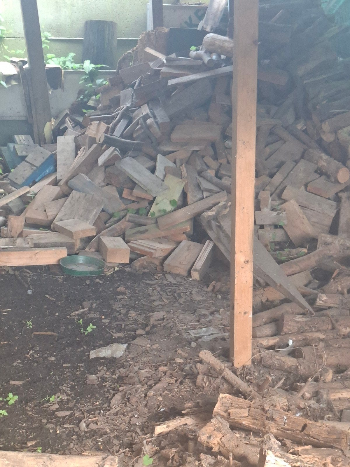 Brandhout, Tuin en Terras, Brandhout, Ophalen