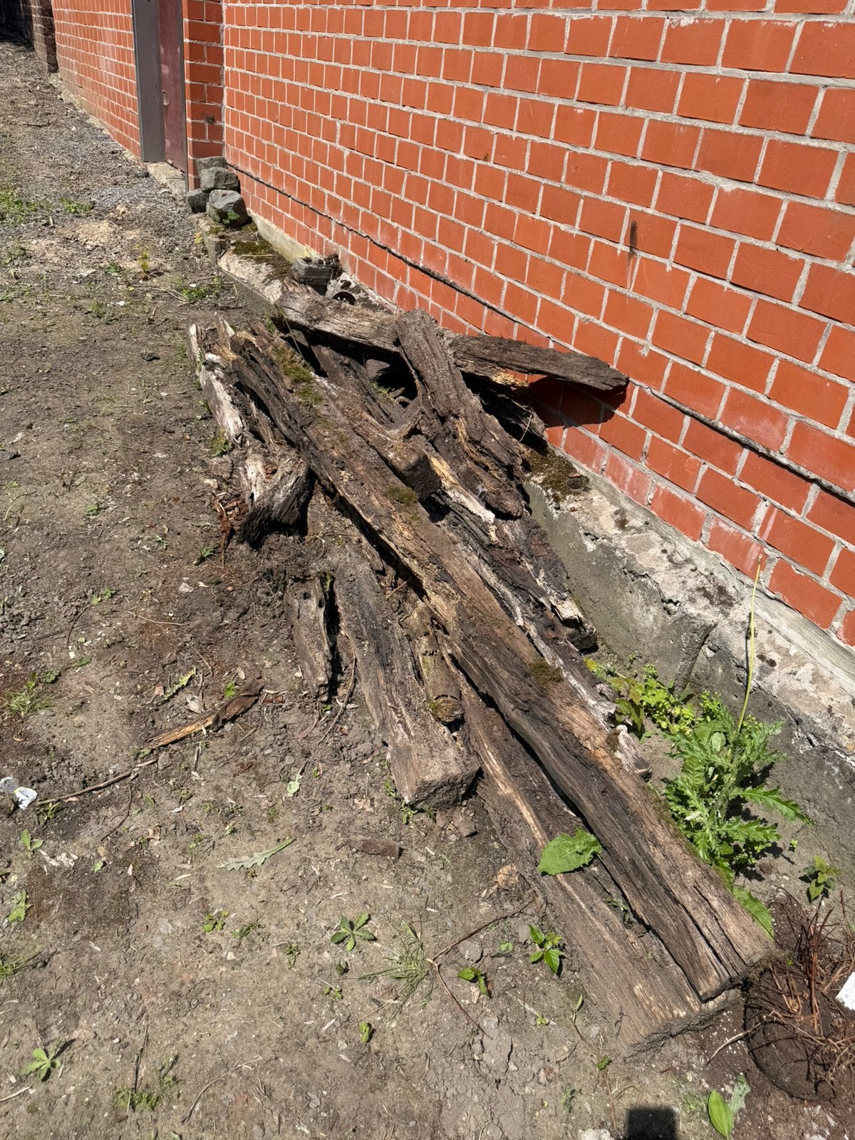 Oude trainbails, Tuin en Terras, Ophalen