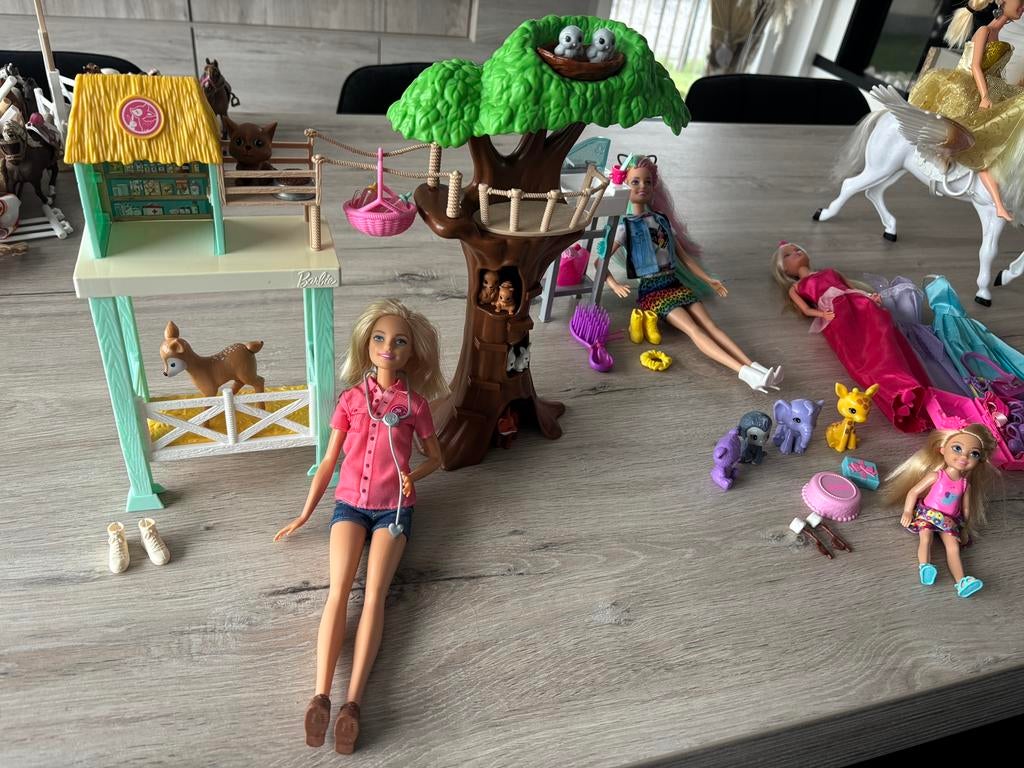 Lot Barbie avec accessoires, Enfants & Bébés, Jouets | Poupées, Enlèvement, Comme neuf