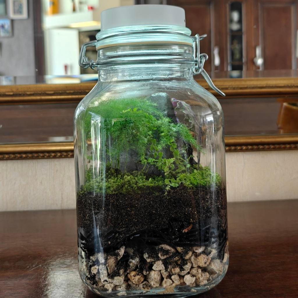 Gesloten terrarium '' mini ecosysteem '', inc oplaadbare LED, Ophalen