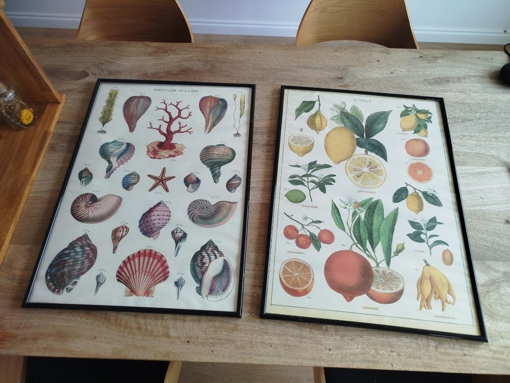 Set van 2 decoratieve botanische posters in zwarte lijsten, Ophalen, Nieuw, Posterlijst, 50 cm