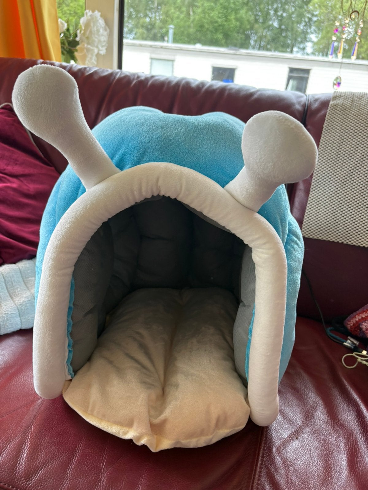 Maison bleue pour chats, Enlèvement, Neuf