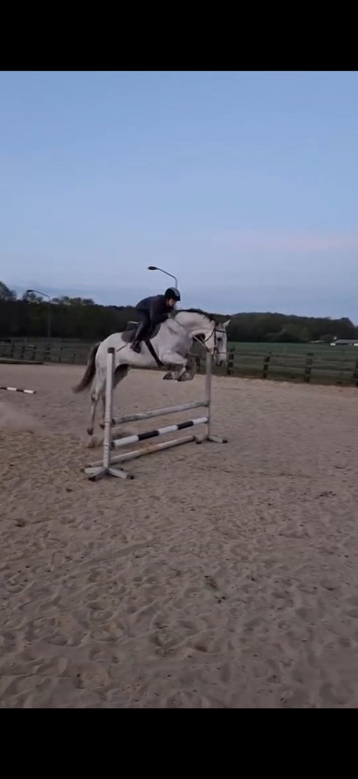 9 jarige merrie te koop, Dieren en Toebehoren, Paarden, Merrie, B, 160 tot 165 cm, 7 tot 10 jaar, Springpaard, Met stamboom, Gechipt