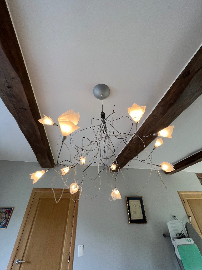 Grande lampe de plafond design, Enlèvement