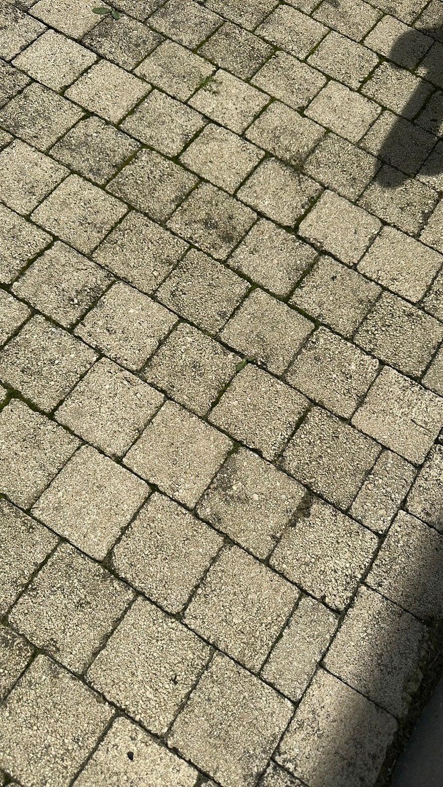Klinkers beige/geel/zandkleur, Ophalen, Klinkers