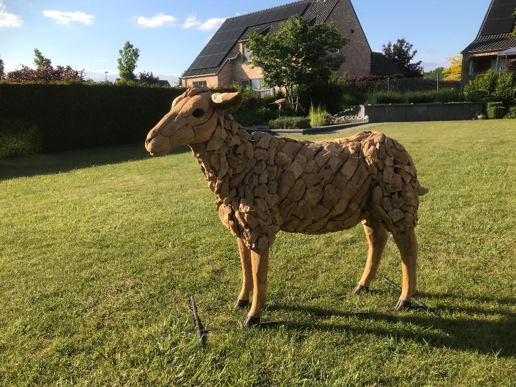 schapen in hardhout decoratie, Tuin en Terras, Tuinbeelden, Ophalen, Hout, Dierenbeeld