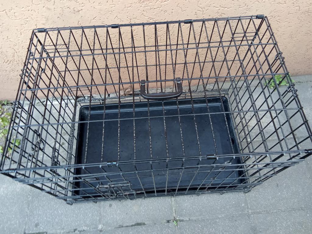 Cage de transport pour chien L 76 H 54 ,L 47 cm, Dieren en Toebehoren, Transportboxen, Ophalen