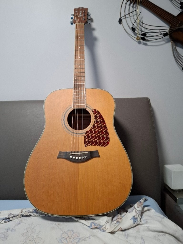 Richwood RD-17c acoustiche gitaar NIEUW, Musique & Instruments, Enlèvement, Neuf, Guitare Western ou Guitare Folk, Avec valise