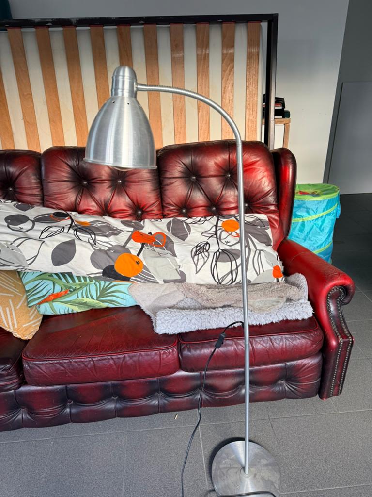 Staande lamp, Ophalen, Gebruikt
