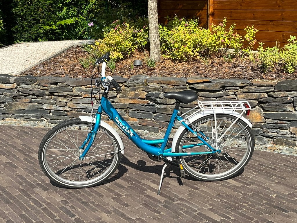 Vélo de ville Golden Lion 26" - très bon état, Vélos & Vélomoteurs, Vélos | Filles, Utilisé, 26 pouces ou plus, Frein à main, Vitesses