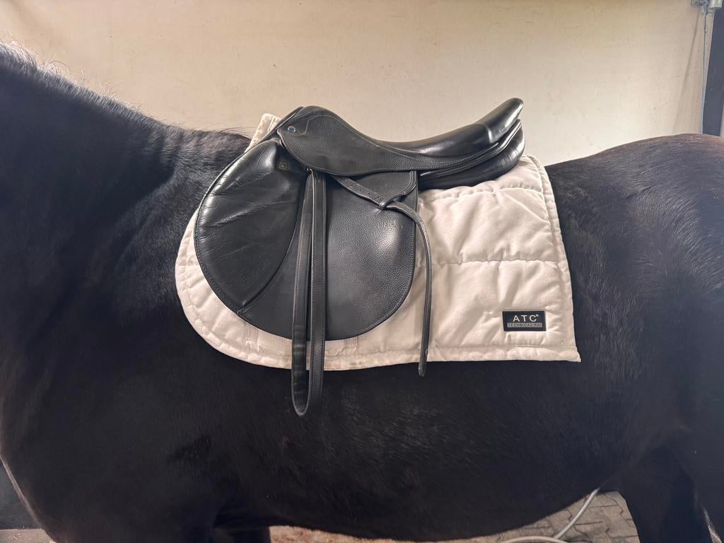 Gezocht: springzadel, Animaux & Accessoires, Chevaux & Poneys | Selles, Comme neuf, Enlèvement