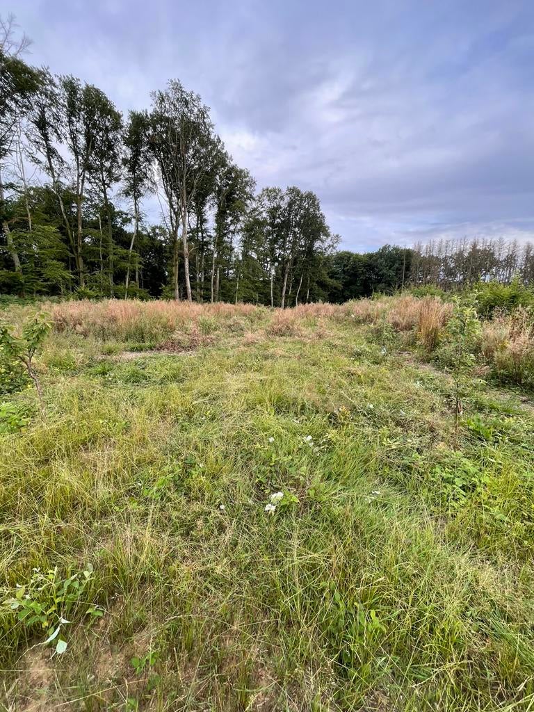 Terrain à louer – idéal apiculture, bois & nature, Immo, Terrains & Terrains à bâtir, 1500 m² ou plus