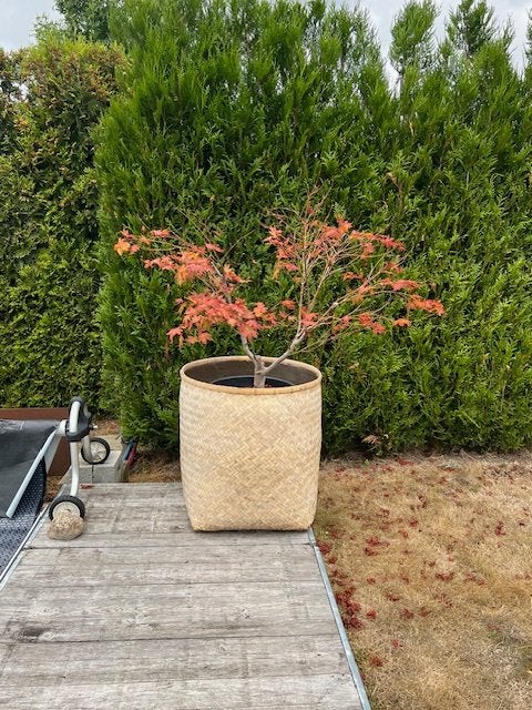 XXL Planten Potten Buiten Gebruik - Merk Flamand, Tuin en Terras, Bloempotten, Ophalen, Overige materialen, 40 cm of meer, Rond