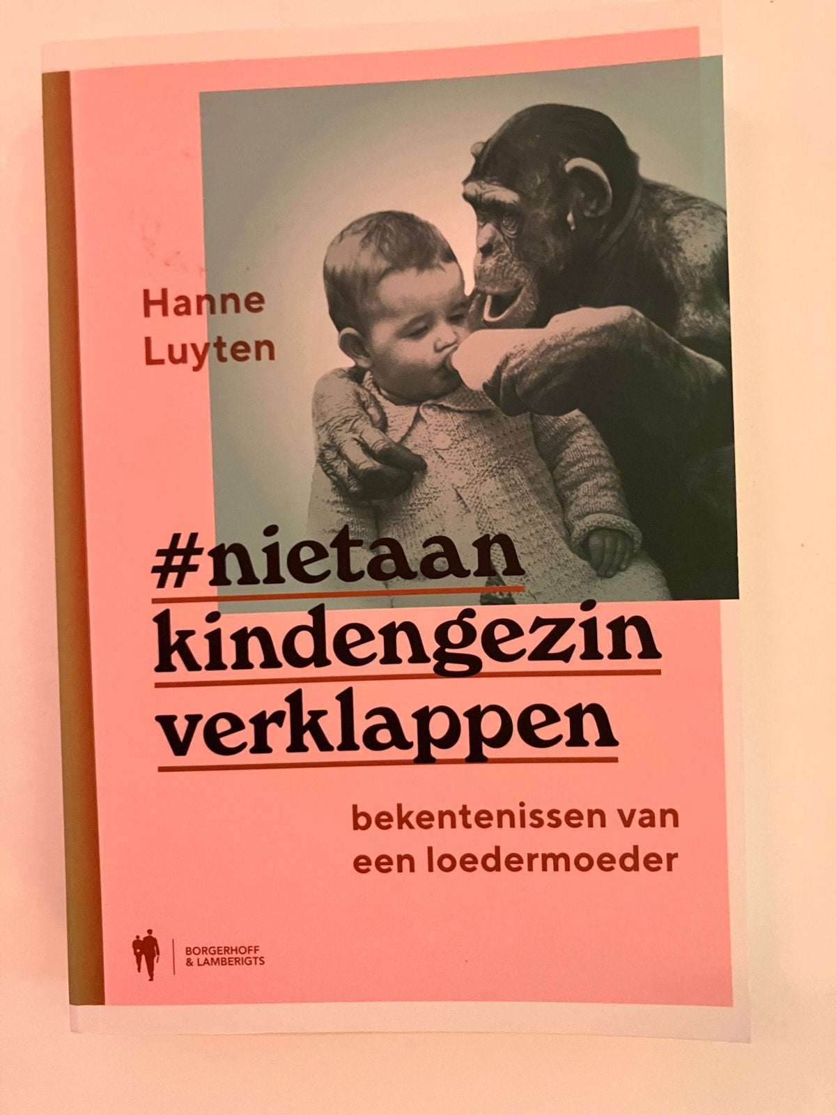 Hanne Luyten - Niet aan kind en gezin verklappen, Boeken, Ophalen, Hanne Luyten