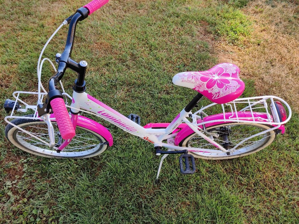 Meisjesfiets Lombardo roze 20 inch, Fietsen en Brommers, Ophalen, Gebruikt, Velgrem, Lombardo