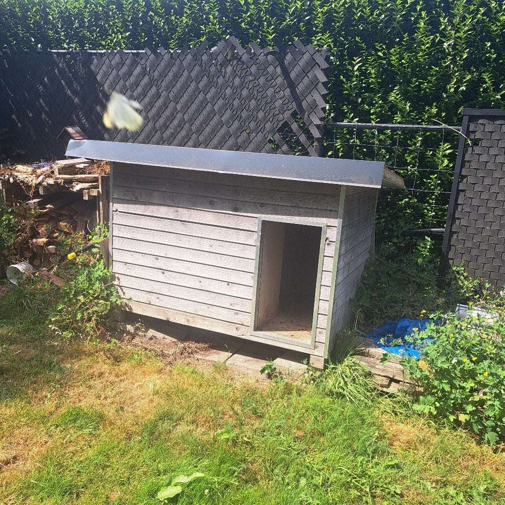 Hondenhok, Animaux & Accessoires, Maisons pour chiens, Enlèvement, 100 cm ou plus, 110 cm ou plus, Niche à chien