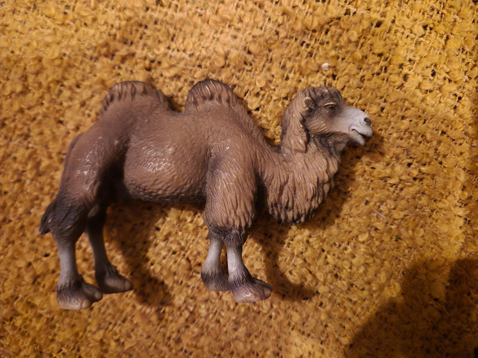 schleich kameel, Envoi