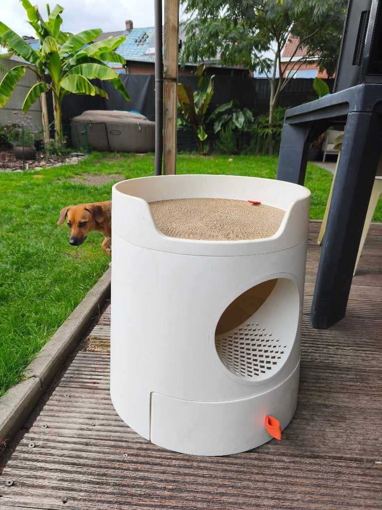 Kattenbak, Dieren en Toebehoren, Ophalen, Gebruikt, Open