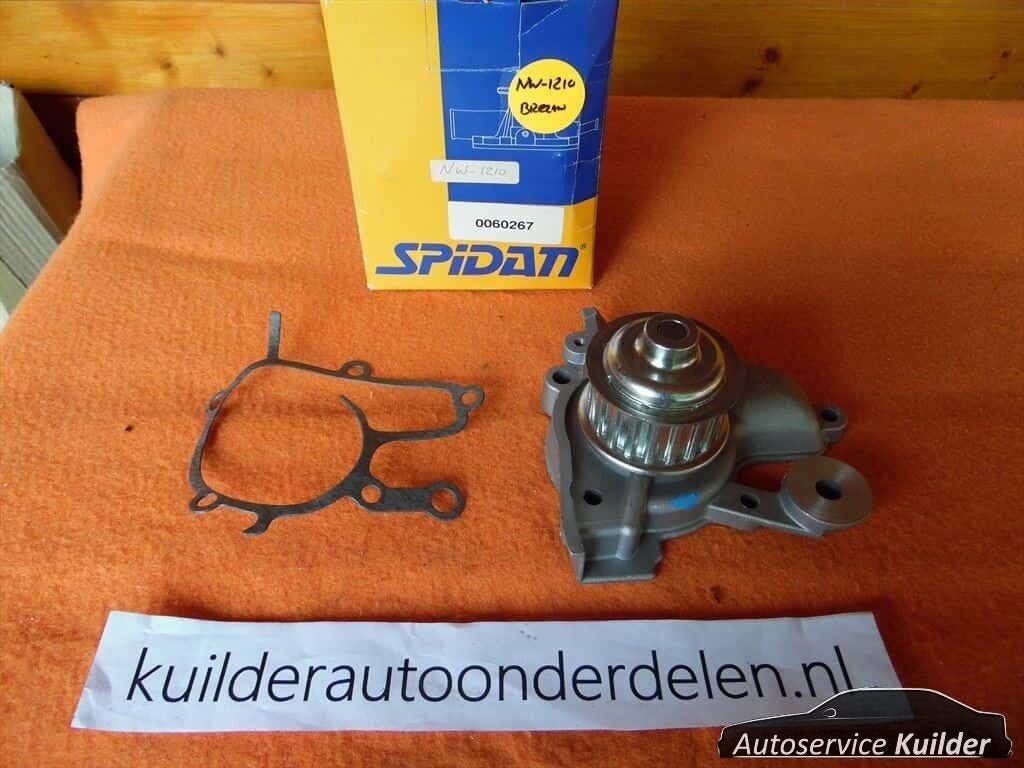 Waterpomp Nissan Cherry Sunny 1,7d SPIDAN Nieuw, Auto-onderdelen, -, -, Nieuw, Ophalen of Verzenden