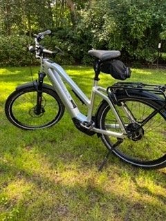 RIESE AND MULLER SPEED PEDDELEC, Fietsen en Brommers, Elektrische fietsen, Ophalen, Zo goed als nieuw, 50 km per accu of meer