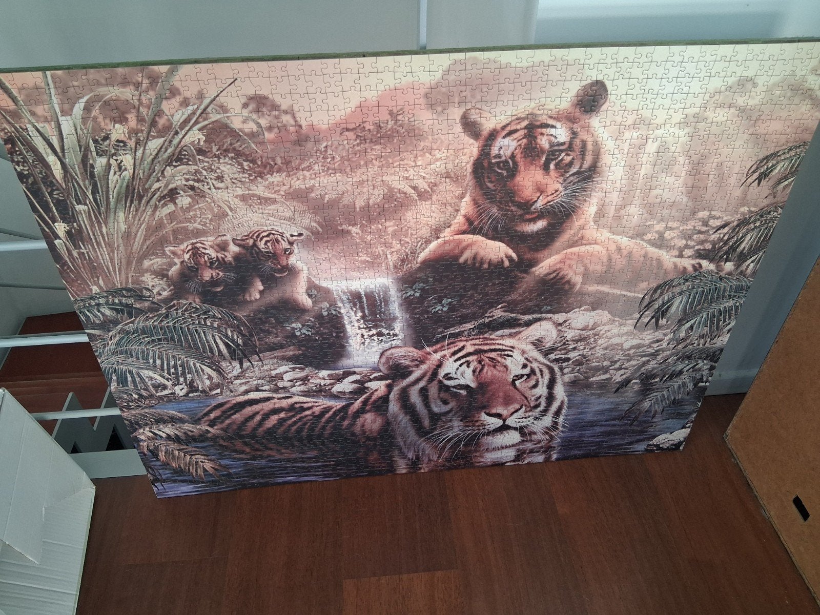 Puzzel tijgers, Ophalen