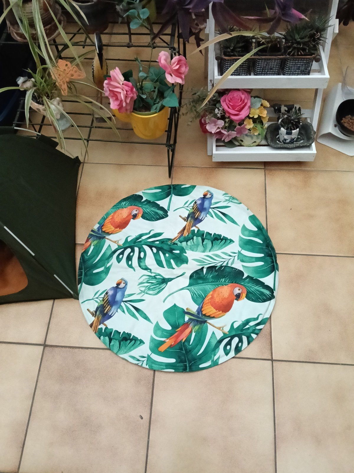 accessoires petit chien ou chat, Enlèvement ou Envoi