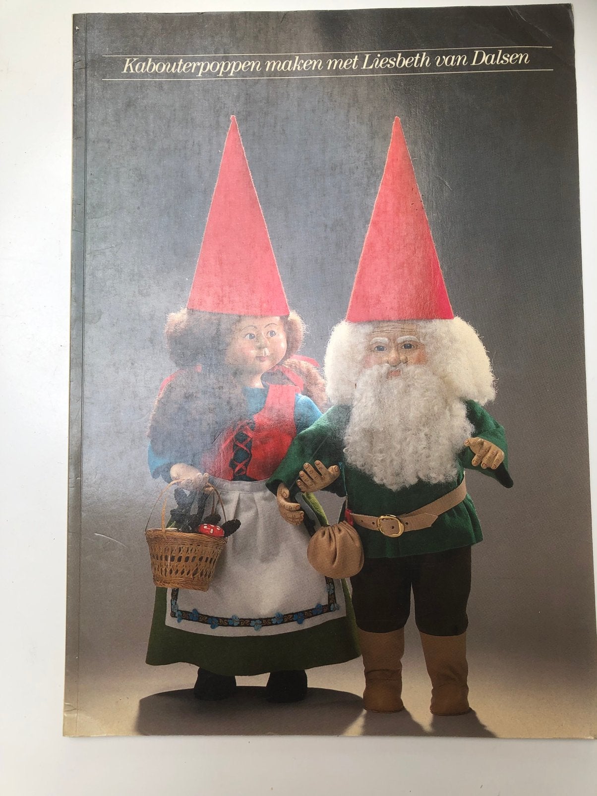 Boek kabouterpoppen maken met Liesbeth van Dalsen, Livres, Enlèvement ou Envoi, Comme neuf, Fabrication de poupées