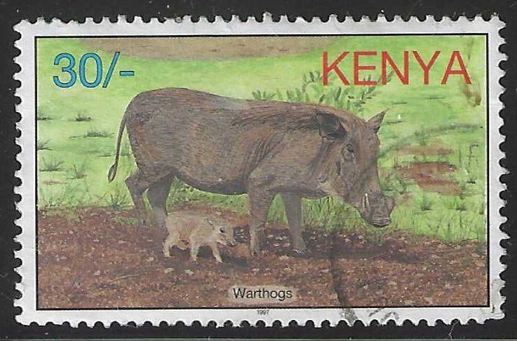Kenya 1997 - Yvert 699 - Wrattenzwijnen - 30 s. (ST), Verzenden, Gestempeld