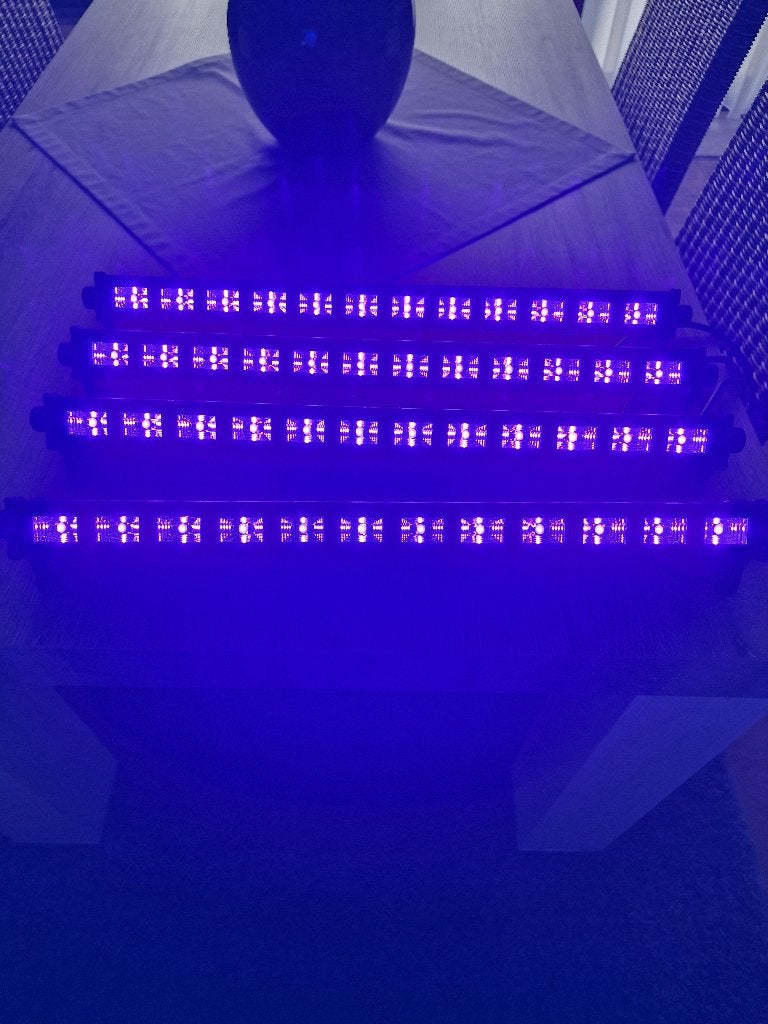 Beamz Blacklight, Ophalen, Zo goed als nieuw