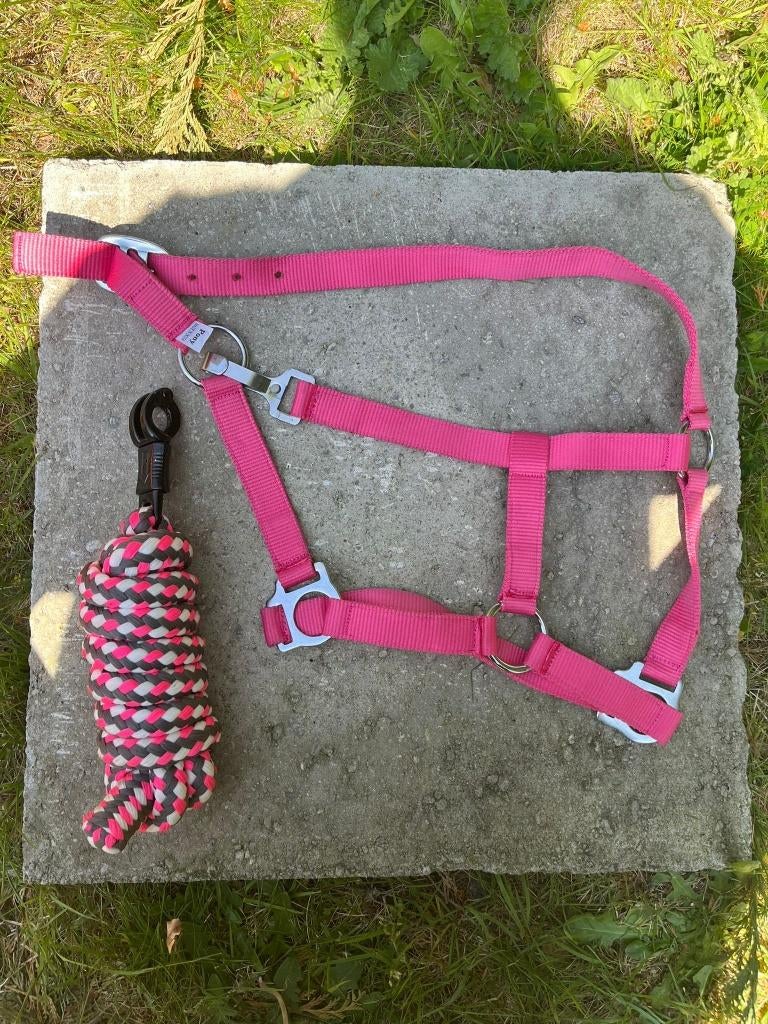 Halster touw pony, Ophalen of Verzenden, Nieuw