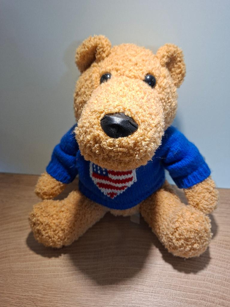 Teddybeer met truitje, Bleu, Enlèvement ou Envoi, Overige karakters, Autres marques