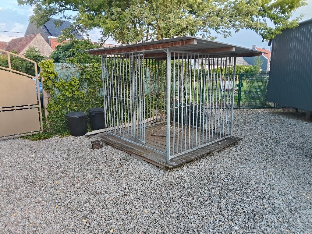 Cage/chenil pour chien, Enlèvement