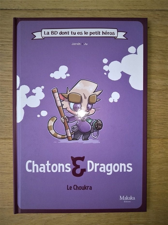 Chatons & Dragons - La BD dont tu es le Petit Héros, Livres, Enlèvement, Neuf
