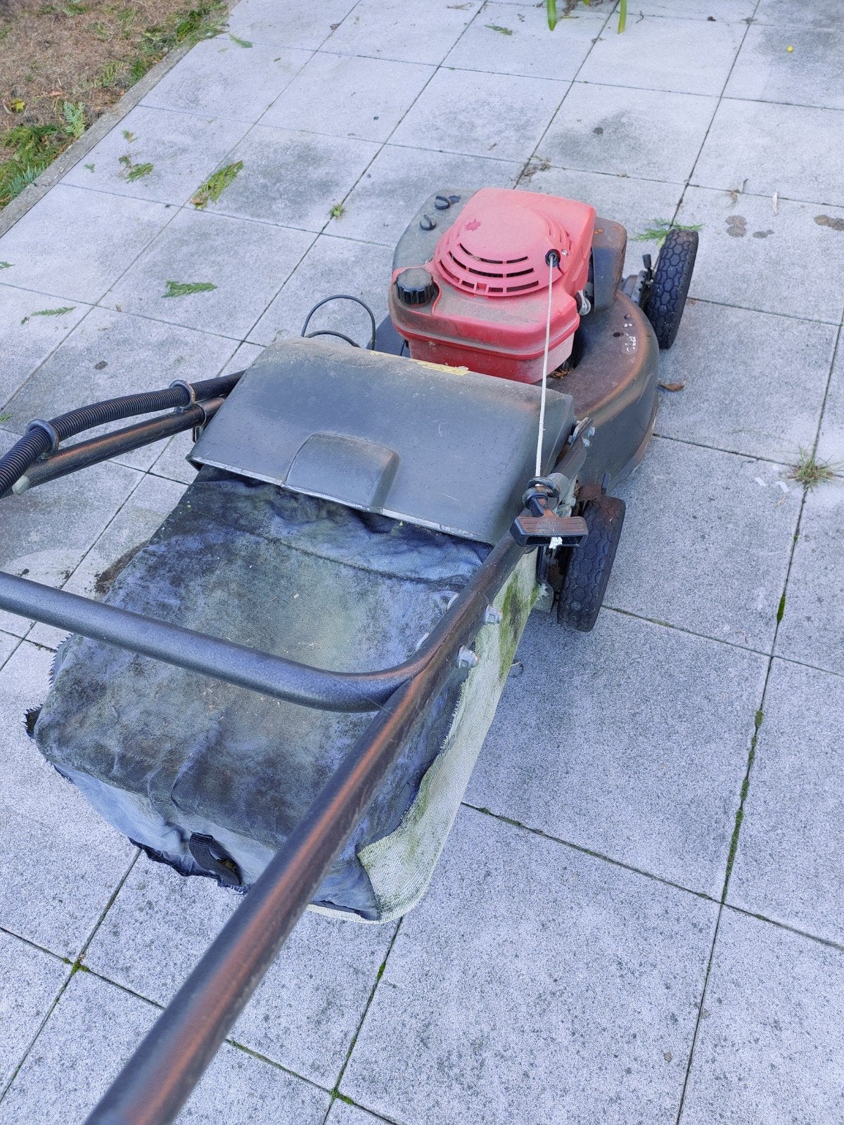 Tondeuse à gazon Honda, Jardin & Terrasse, Honda, Tondeuse rotative, Tondeuses à gazon à essence, Utilisé