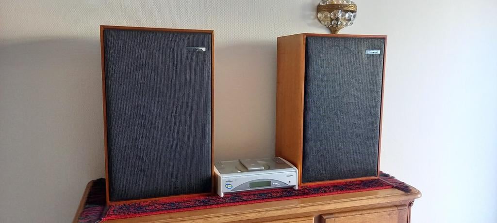 Vintage carad c435 luidsprekers jaren 70, Autres marques, Moins de 60 watts, Enlèvement, Utilisé
