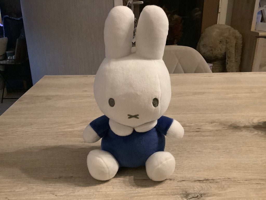 Nijntje pluche character (27 cm), Konijn, Nijntje, Ophalen of Verzenden, Zo goed als nieuw